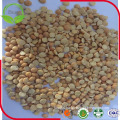 New Crop Natural Yellow Split Pea